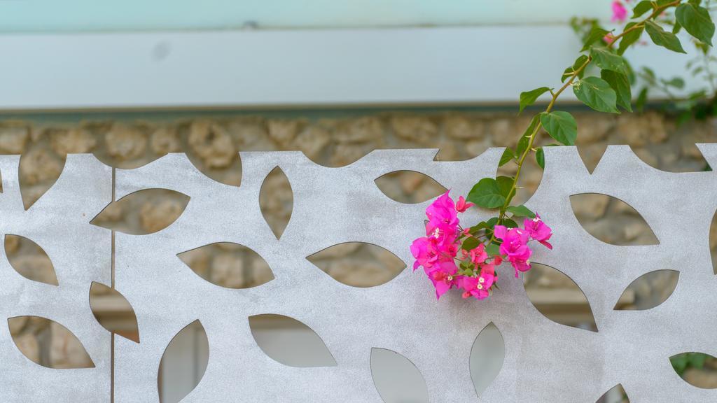 Apartment Mair Dubrovnik Rom bilde
